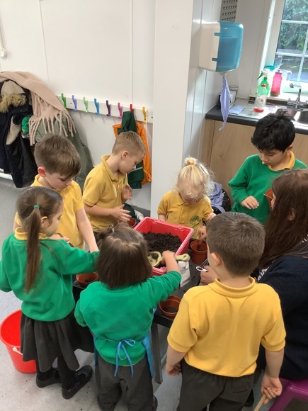 Year 1 Planting Seeds