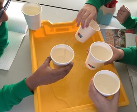 Year 6 Conducting Veins Arteries and Capillaries Experiment