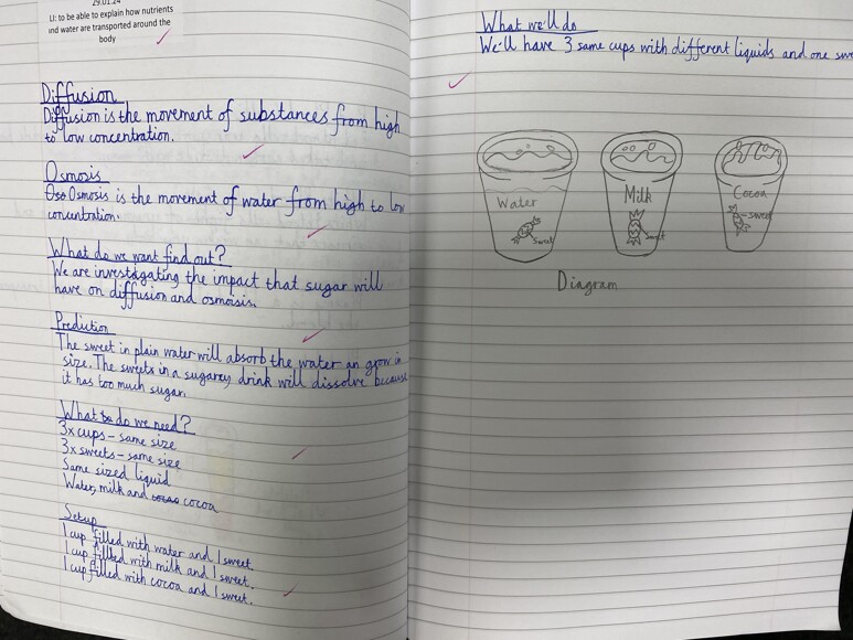 Year 6 Pupils Work on Osmosis and Diffusion 3