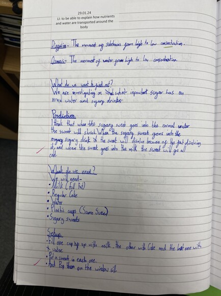 Year 6 Pupils Work on Osmosis and Diffusion 4